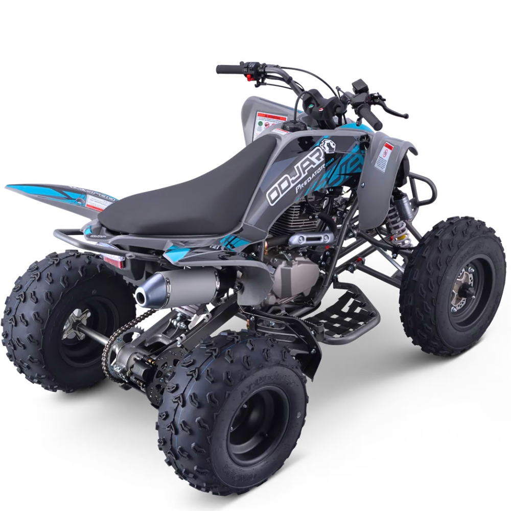 QUAD ODJAR 250CC 4T PREDATOR VOLT R10/9_2512.jpg