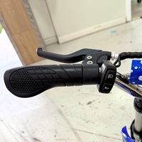 MINICROSS ELÉCTRICA R8 350W 36V FURIOUS BLUETOOTH_2910.jpg