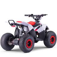 QUAD ELECTRICO 1200W OVEX EXPLODER _2213.jpg