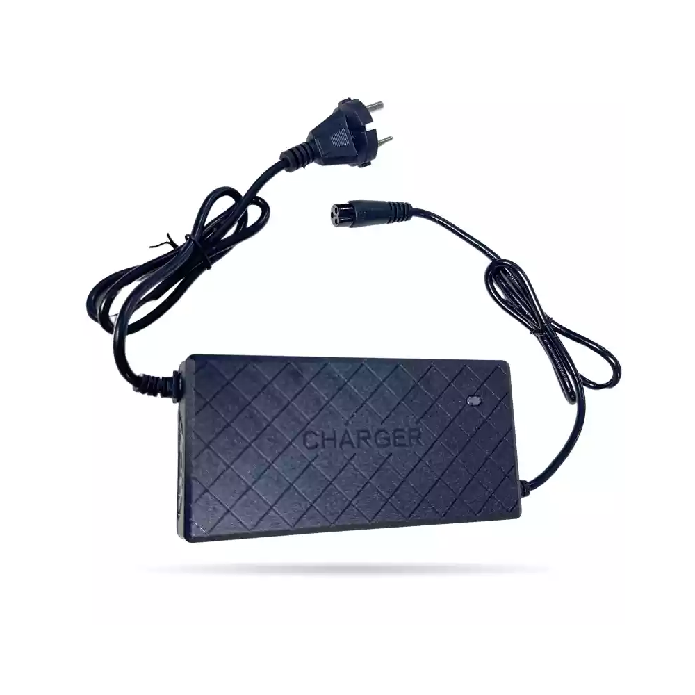 CARGADOR DC: 36V BATERIA PLOMO MICRO 3 PIN