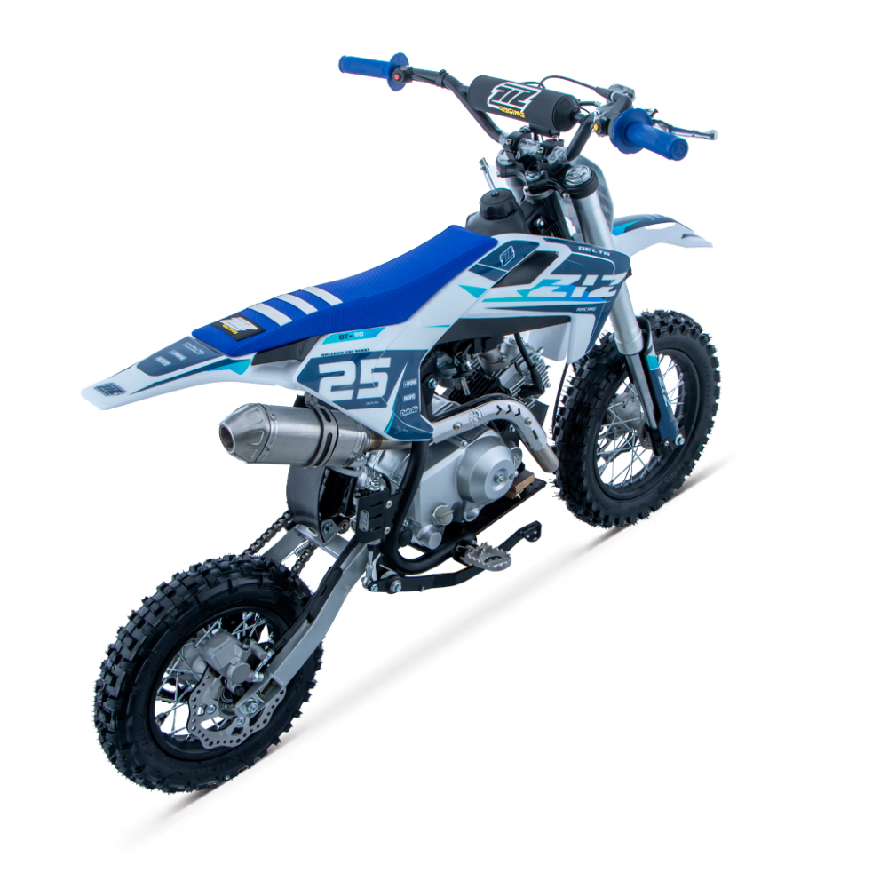 PIT BIKE 90CC 4T AUTOMATICO 12/10 DELTA ZIZ RACING