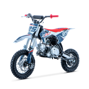 PIT BIKE 90CC 4T AUTOMATICO 12/10 DELTA ZIZ RACING