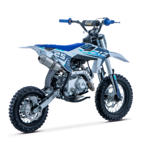 PIT BIKE 90CC 4T AUTOMATICO 12/10 DELTA ZIZ RACING