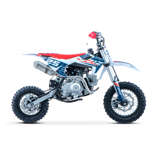PIT BIKE 90CC 4T AUTOMATICO 12/10 DELTA ZIZ RACING