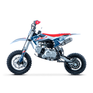 PIT BIKE 90CC 4T AUTOMATICO 12/10 DELTA ZIZ RACING