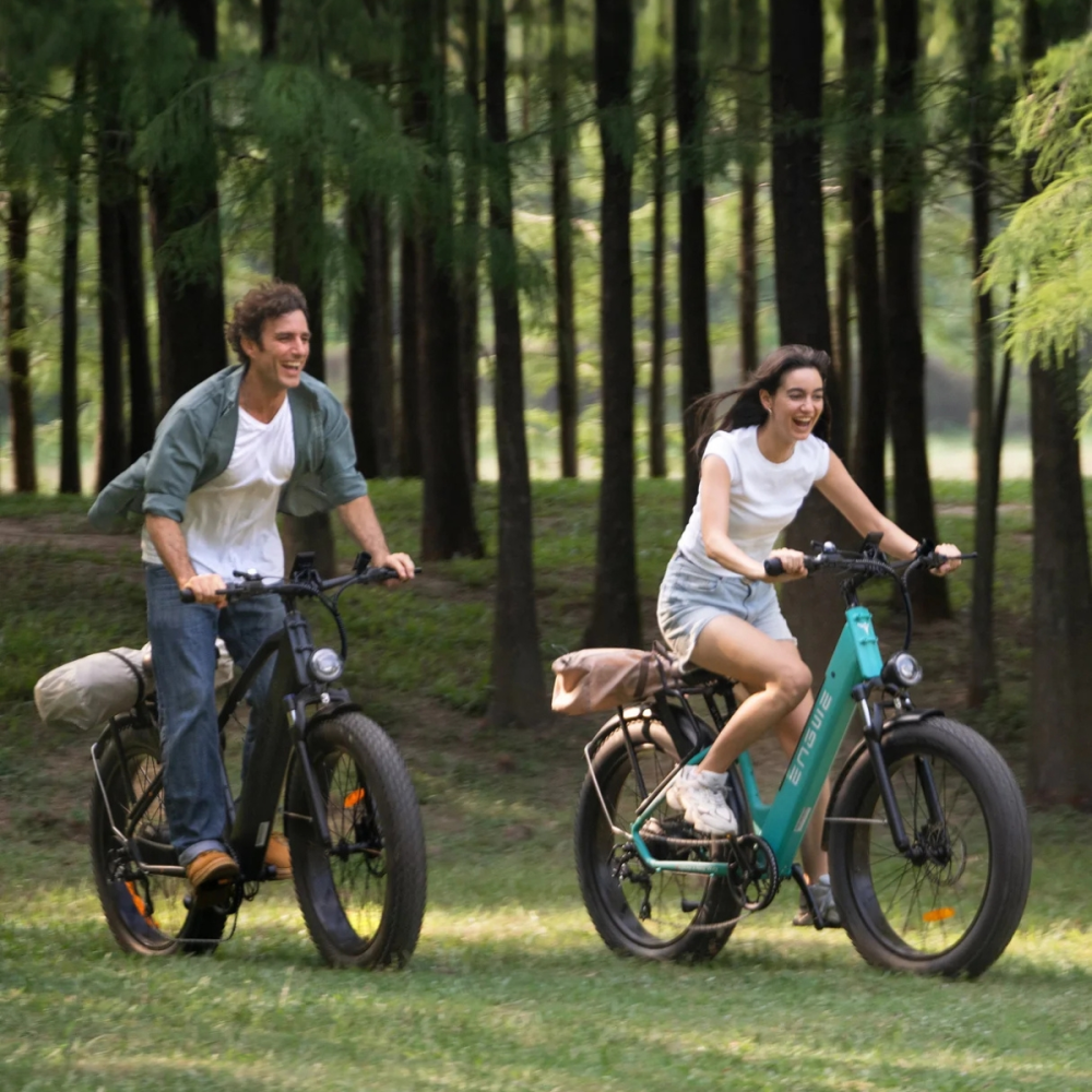 BICICLETA ELECTRICA ENGWE E26 250W 48V 13AH