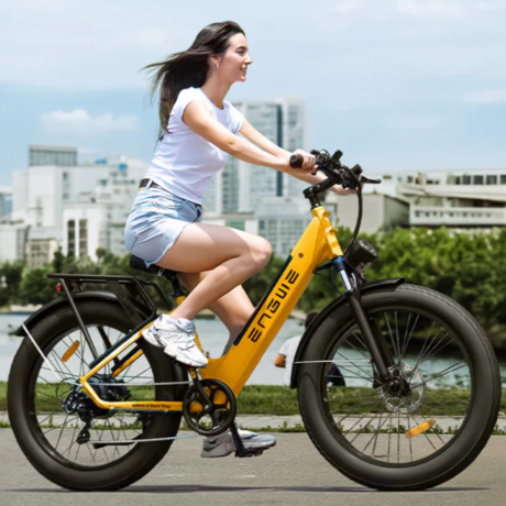 BICICLETA ELECTRICA ENGWE E26 250W 48V 13AH