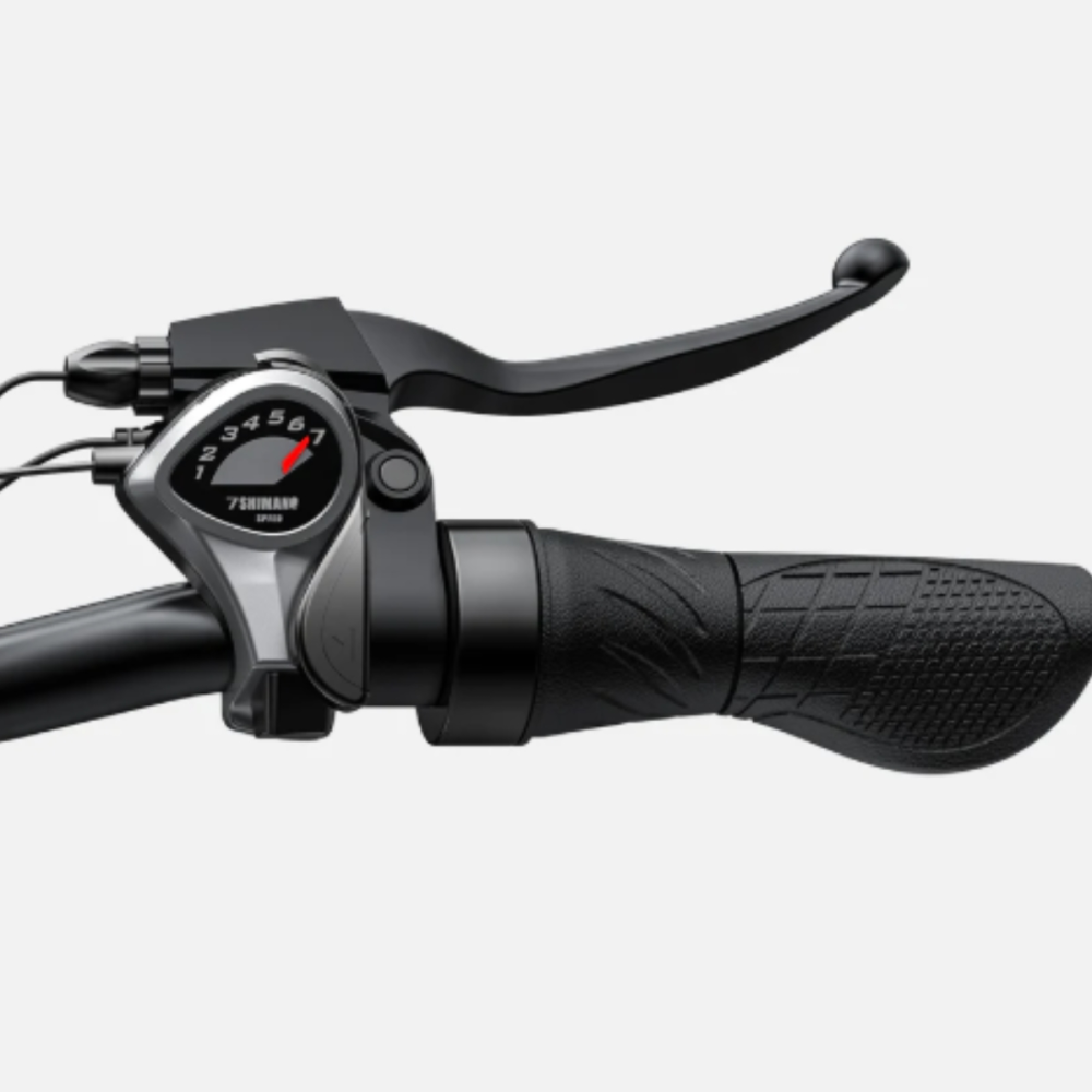 BICICLETA ELECTRICA ENGWE E26 250W 48V 13AH