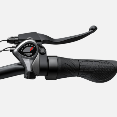 BICICLETA ELECTRICA ENGWE E26 250W 48V 13AH