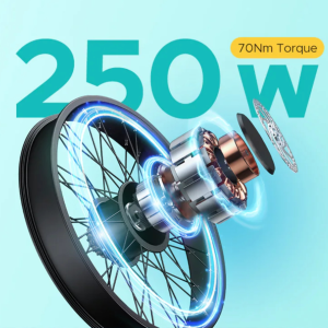 BICICLETA ELECTRICA ENGWE E26 250W 48V 13AH