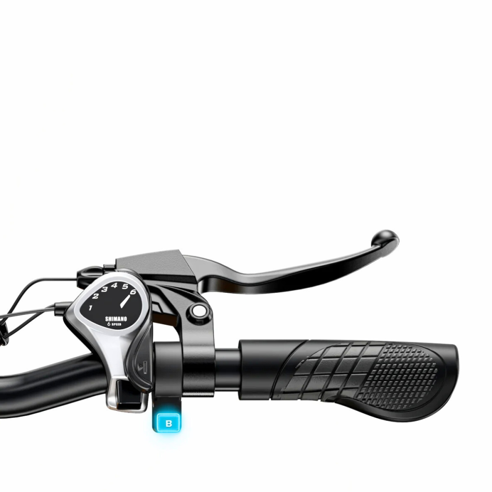 BICICLETA ELÉCTRICA EP-2 BOOST 250W 48V 13AH