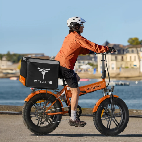 BICICLETA ELÉCTRICA EP-2 BOOST 250W 48V 13AH