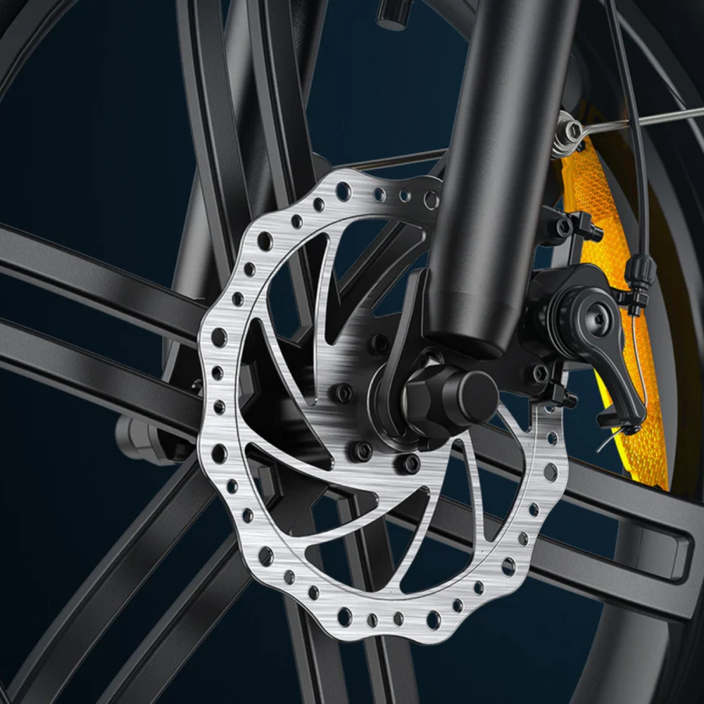 BICICLETA ELÉCTRICA EP-2 BOOST 250W 48V 13AH