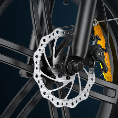 BICICLETA ELÉCTRICA EP-2 BOOST 250W 48V 13AH