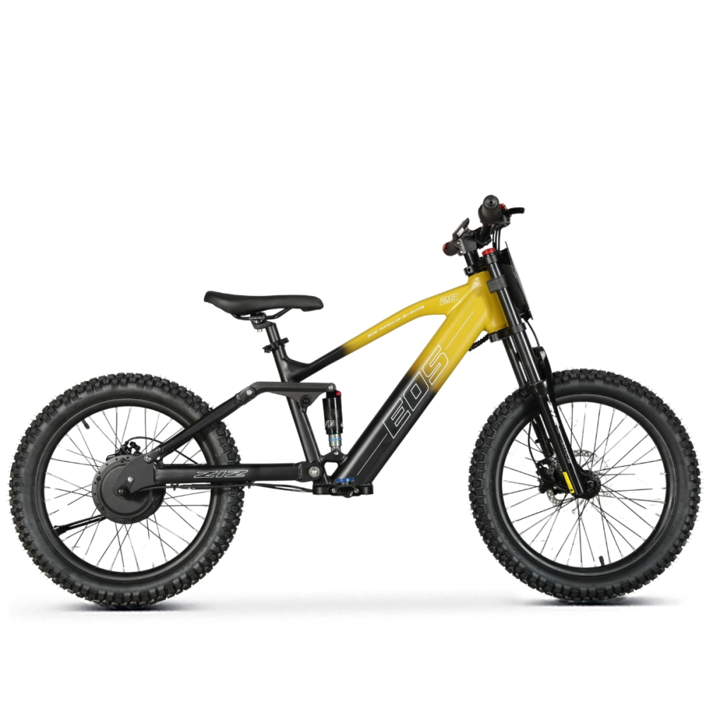 BICI ELECTRICA EOS PRO R20 750W 48V ZIZ.RACING BICI ELECTRICA EOS PRO R20 750W 48V ZIZ.RACING