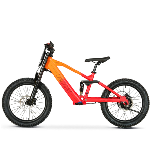 BICI ELECTRICA EOS-20 550W 36V 7.5AH ZIZ.RACING
