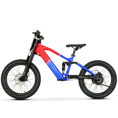 BICI ELECTRICA EOS-20 550W 36V 7.5AH ZIZ.RACING BICI ELECTRICA EOS-20 550W 36V 7.5AH ZIZ.RACING