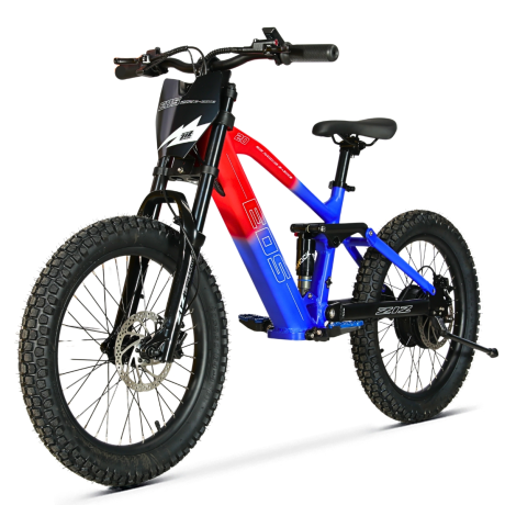 BICI ELECTRICA EOS-20 550W 36V 7.5AH ZIZ.RACING BICI ELECTRICA EOS-20 550W 36V 7.5AH ZIZ.RACING