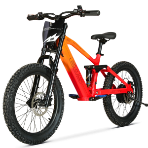 BICI ELECTRICA EOS-20 550W 36V 7.5AH ZIZ.RACING