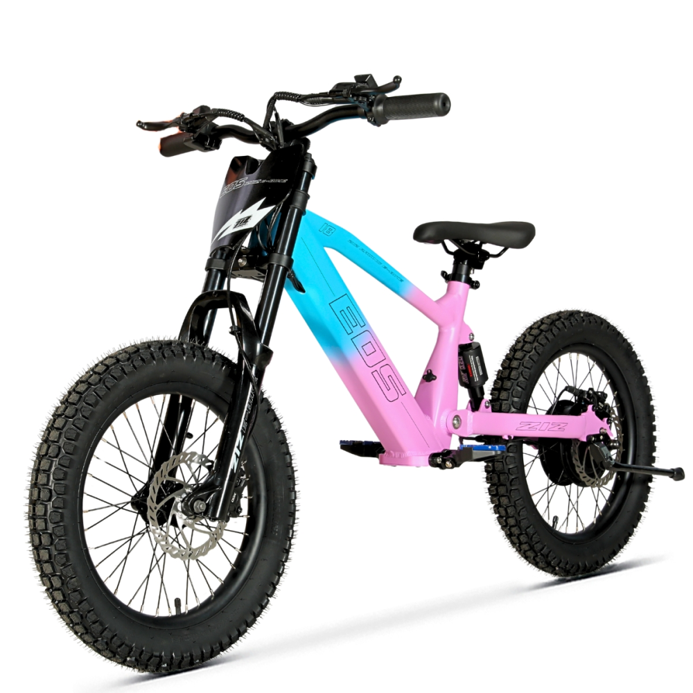 BICI ELECTRICA EOS-18 550W 36V 7.5AH ZIZ.RACING BICI ELECTRICA EOS-18 550W 36V 7.5AH ZIZ.RACING