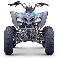 QUAD ODJAR 250CC 4T PREDATOR VOLT R10/9_2508.jpg