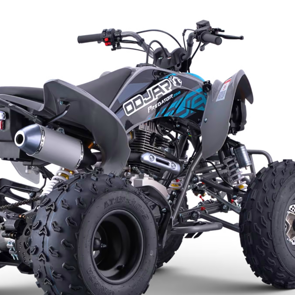 QUAD ODJAR 250CC 4T PREDATOR VOLT R10/9_2514.jpg