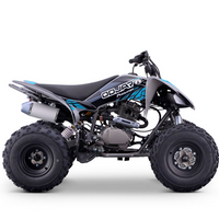 QUAD ODJAR 250CC 4T PREDATOR VOLT R10/9_2515.jpg