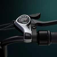BICICLETA ELECTRICA ENGWE M20 DUAL  250W 48V 13AH_2585.jpg
