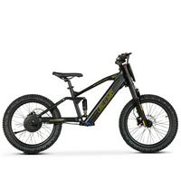 BICI ELECTRICA EOS-20 550W 36V 7.5AH ZIZ.RACING_5795.jpg