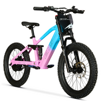BICI ELECTRICA EOS-20 550W 36V 7.5AH ZIZ.RACING_5806.jpg