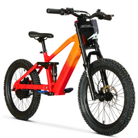 BICI ELECTRICA EOS-20 550W 36V 7.5AH ZIZ.RACING_5808.jpg