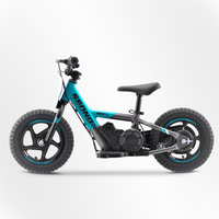BICI ELECTRICA SEDNA MX12 100W 24V 2.6AH BRUSHLESS_906.jpg
