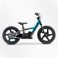 BICI ELECTRICA SEDNA MX16 250W 24V 5.2AH BRUSHLESS_913.jpg