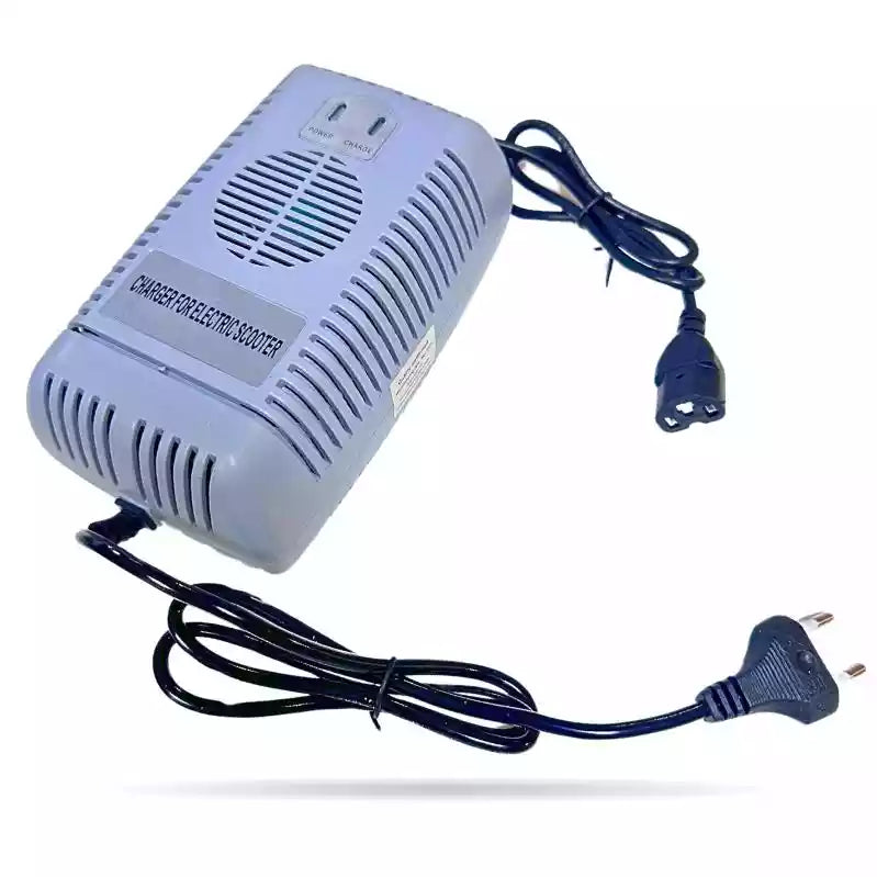 CARGADOR 48V 2.5A PLOMO. BUGGY_1890.jpg