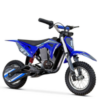 MINICROSS ELÉCTRICA R8 350W 36V FURIOUS BLUETOOTH_2904.jpg