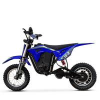 MINICROSS ELÉCTRICA R8 350W 36V FURIOUS BLUETOOTH_2906.jpg