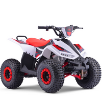 QUAD ELECTRICO 1200W OVEX EXPLODER _2208.jpg